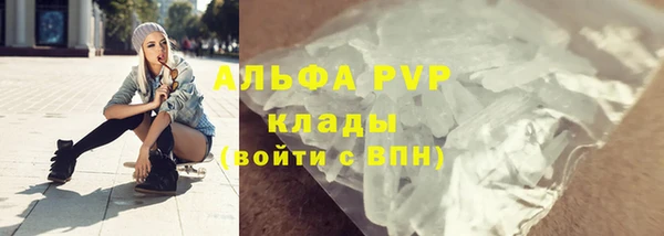 гашик Козловка