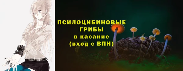герыч Козельск