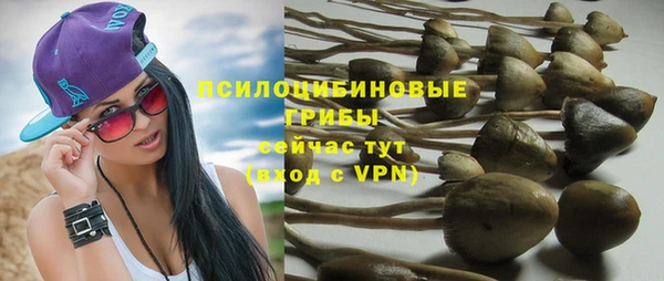 гашик Козловка