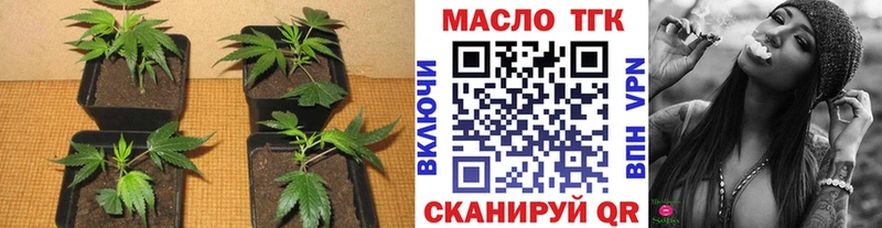 купить  цена  Кудрово  omg рабочий сайт  Дистиллят ТГК Wax 